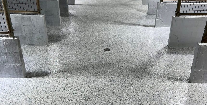 dog day care facility